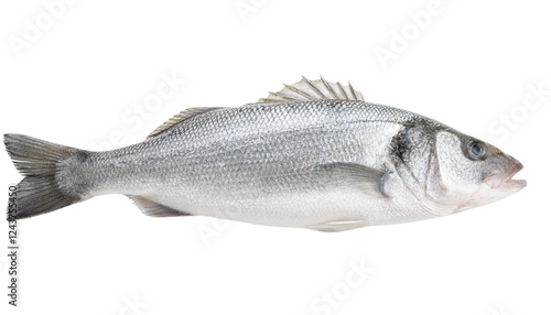 Whole fish, white isolate background photo