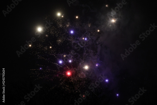Small amatuer new years firework shooting fireworks.
