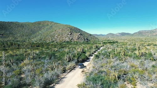 Off-Road Vehicle Driving Through Sandy Terrain with Cacti and Mountain Views