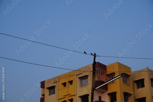 The drongo birds are sitting on the electric wire in front of the buildings with the clear sky background photo