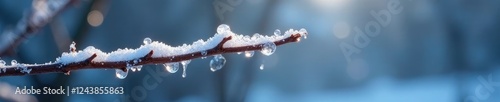 A delicate ice formation clung to the side of a frozen branch like a tiny, fragile ornament, cold weather, serenity photo