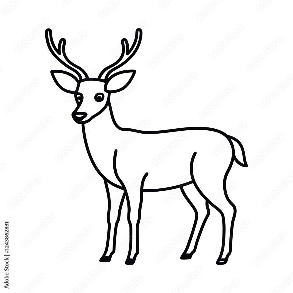 deer deer