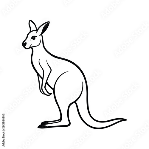 kangaroo