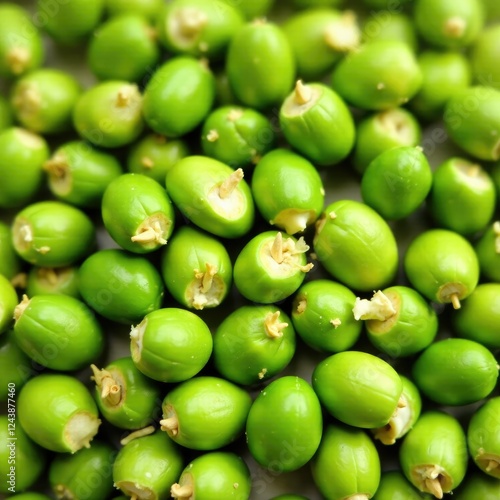 Wallpaper Mural Isolated green seeds with dried husk fragments, botanical, organic, nature Torontodigital.ca