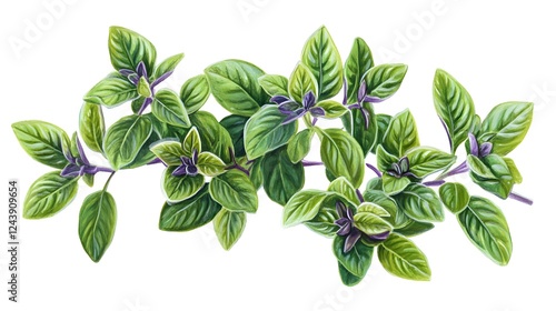 A close-up illustration of fresh basil leaves, showcasing their vibrant green color and distinctive texture, perfect for culinary themes.