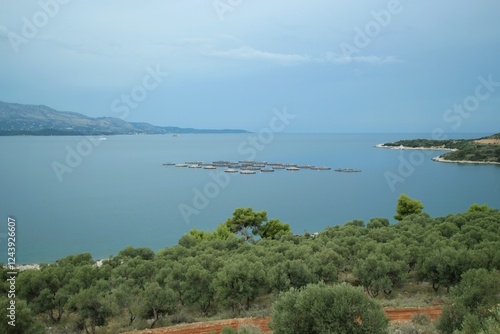 Wallpaper Mural view from the top of the hill to the sea in Albania. Torontodigital.ca