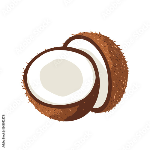 A vector illustration of an open coconut 