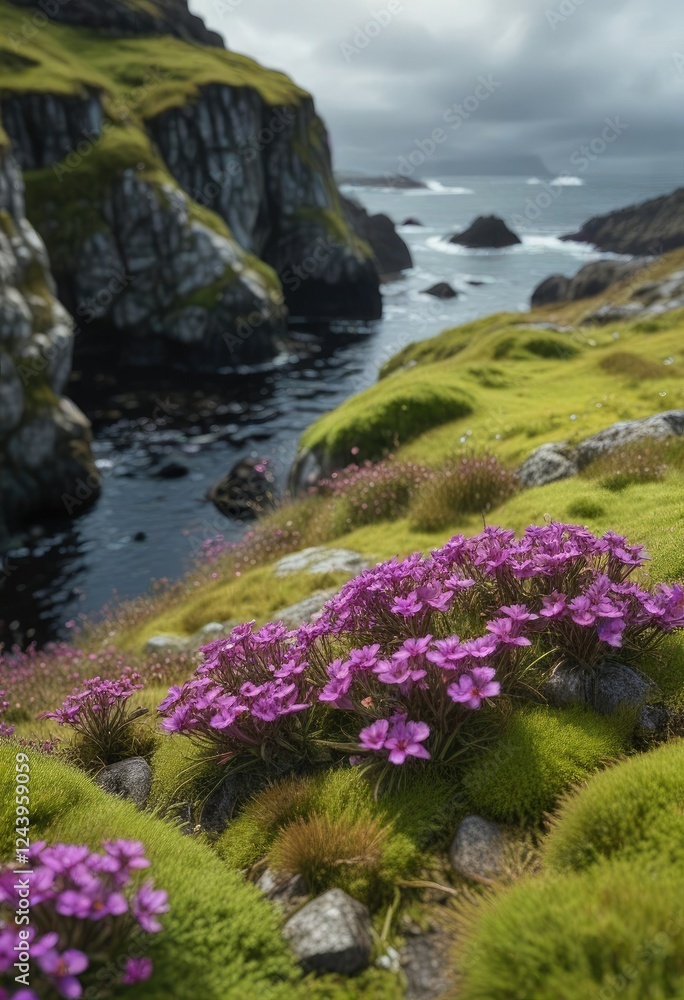 vibrant purple flowers blooming among the green moss and rocky outcrops in a secluded sea cove on the Isle of Lewis, Scotland, outdoor scene, natural scenery vibrant purple flowers blooming among the green moss and rocky outcrops in a secluded sea cove on the Isle of Lewis, Scotland, outdoor scene, natural scenery