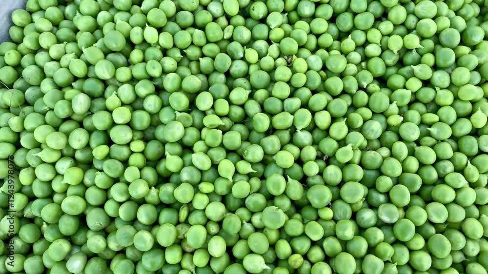 A plate filled with a generous amount of fresh peas, showcasing their vibrant green color and natural appeal, ready to be used in a delicious dish. A plate filled with a generous amount of fresh peas, showcasing their vibrant green color and natural appeal, ready to be used in a delicious dish.