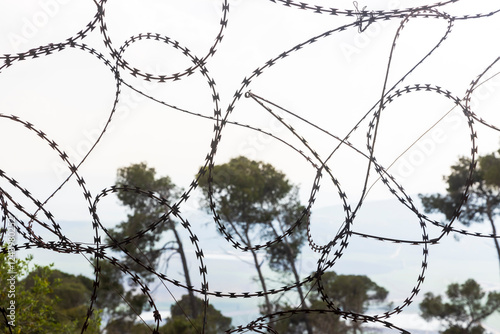 Barbed wire barriers preventing animals from crossing, with a scenic view of trees and the sky. photo