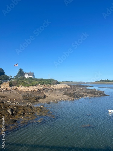 Coastal Maine Community at Low Tide photo