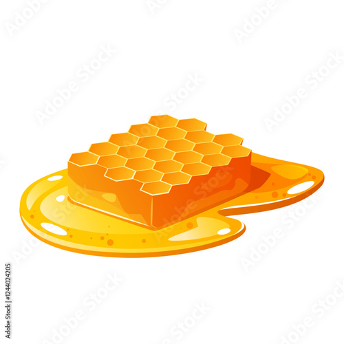 Vector honeycomb in pure honey isolated on white background.
