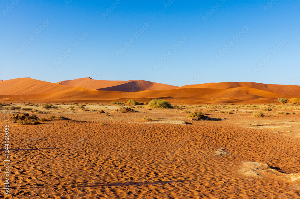 Vor der Wanderung über Namibias Düne Little Papa in der Namib Wüste im Naukluft Nationalpark