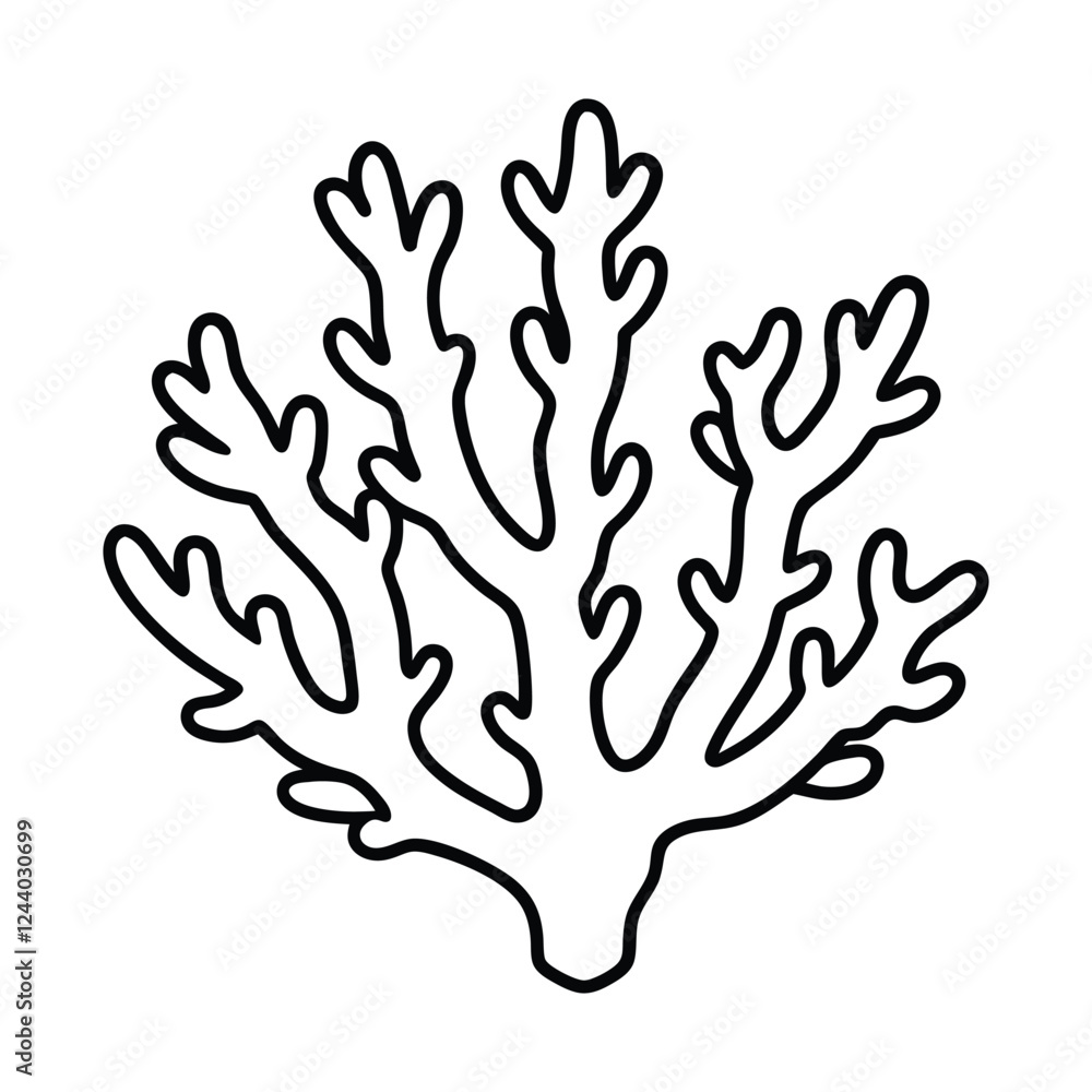 coral coral