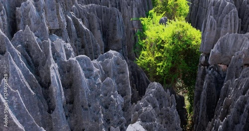 The Unique Tsingy de Bemaraha Stone Forest In Madagascar