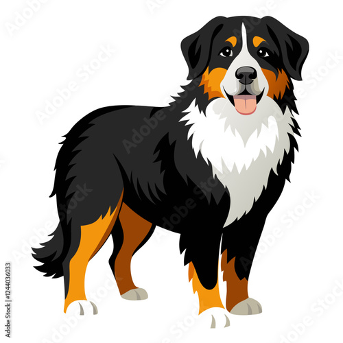 bernese mountain dog isolated on white, Color vector illustration. Pet animal  