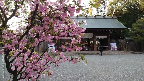 日本の寺院風景