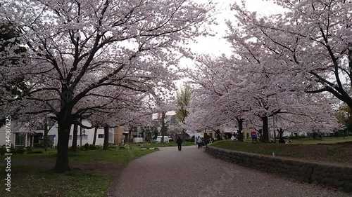 日本の寺院風景