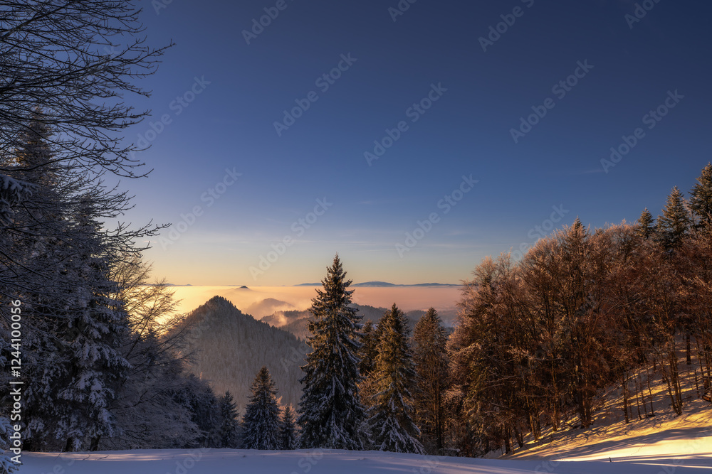 Pieniny , góry, zima, śnieg, Karpaty, mgły, Tatry, Dunajec