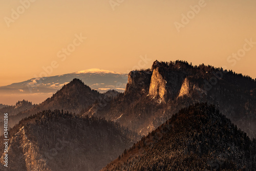 Obraz na płótnie Pieniny , góry, zima, śnieg, Karpaty, mgły w salonie