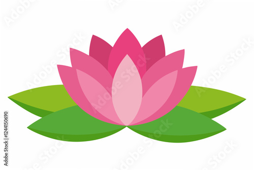 pink lotus flower