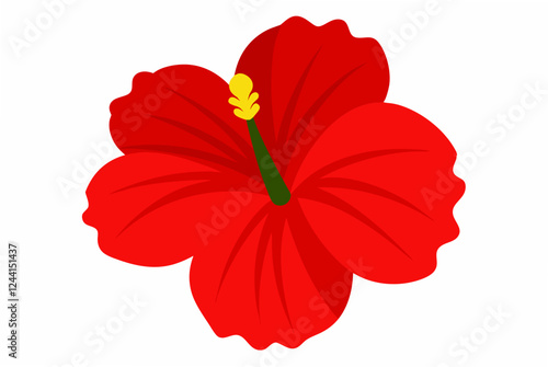 red hibiscus flower