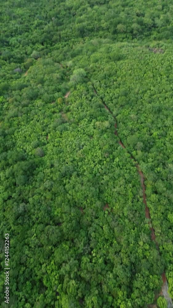 Drone View Drone View