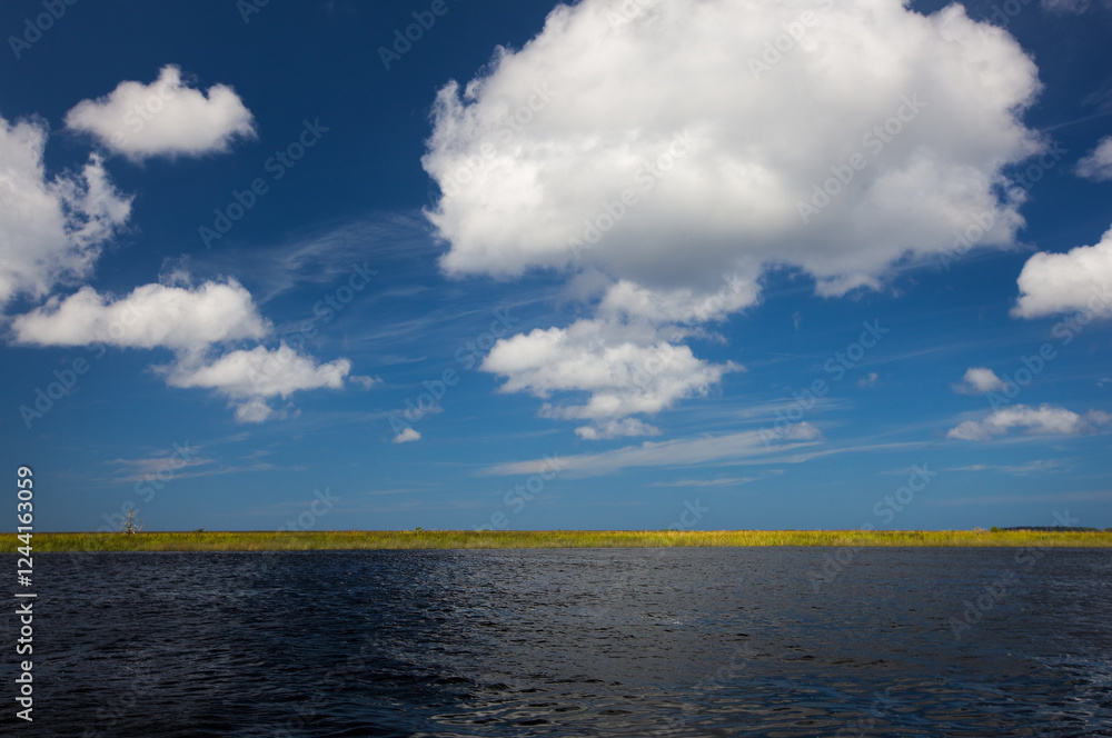 Fototapeta premium Near mouth of Suwanee River, Florida