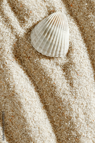Seashell on Smooth Sandy background, One shell on fine sand with wave pattern, minimal and peaceful beach-inspired composition under soft light, neutral color monochrome top view, copy space