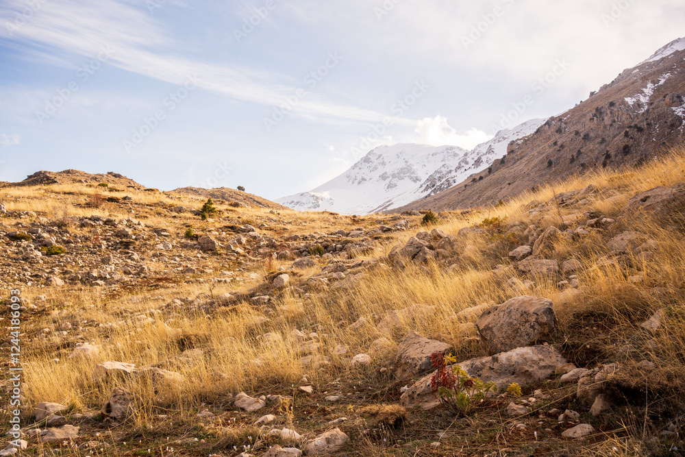 mountain landscape with snow