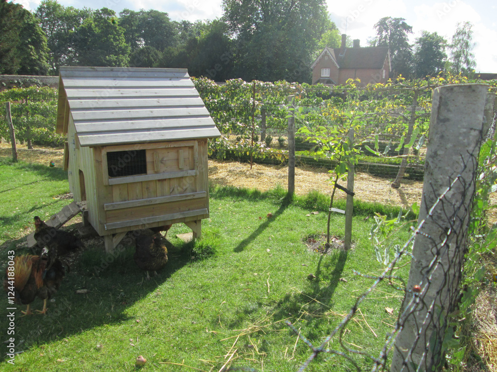 Obraz premium Audley End, Essex, United Kingdom, September 25 2015. Views from Audley End
