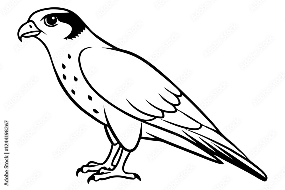 Fototapeta premium falcon silhouette line art vector illustration with a white background