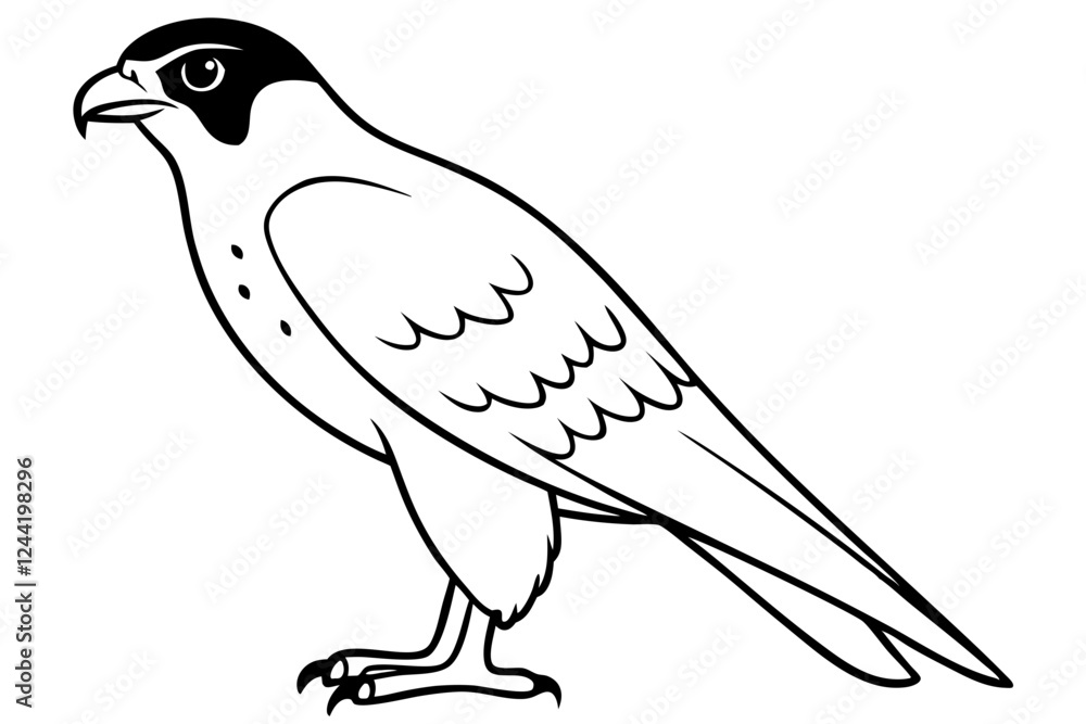 Obraz premium falcon silhouette line art vector illustration with a white background