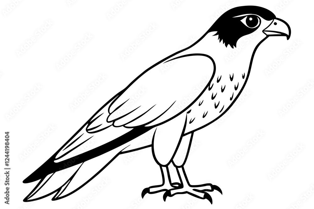 Fototapeta premium falcon silhouette line art vector illustration with a white background