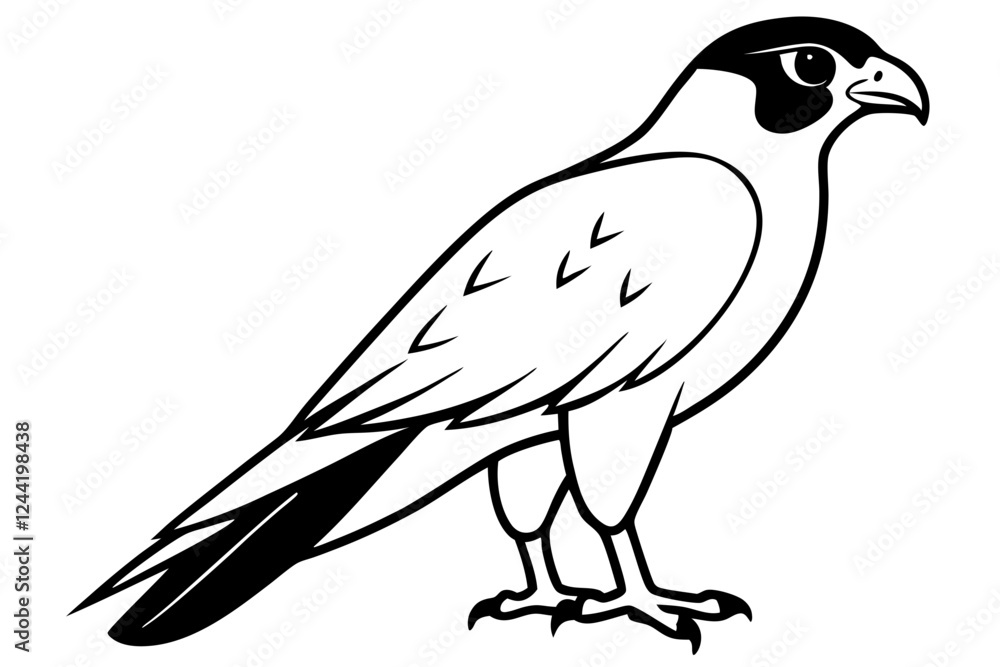 Fototapeta premium falcon silhouette line art vector illustration with a white background