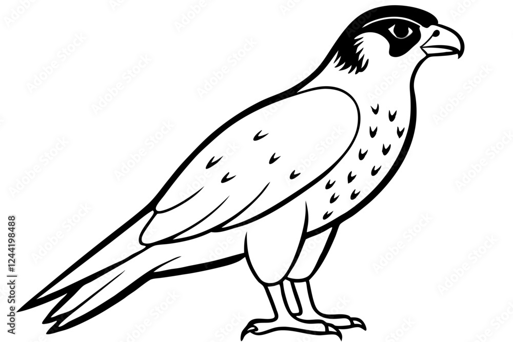 Fototapeta premium falcon silhouette line art vector illustration with a white background