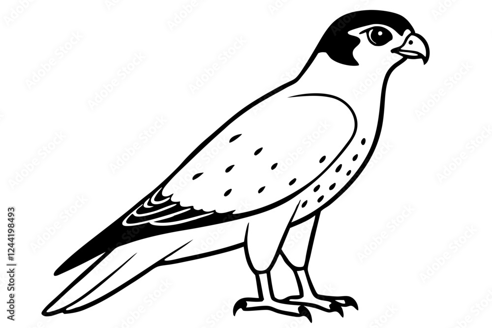 Fototapeta premium falcon silhouette line art vector illustration with a white background