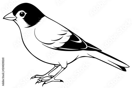 finch bird silhouette line art vector illustration with a white background