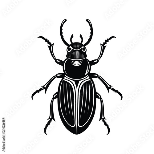 beetle 