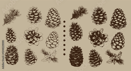 set of sketch rubber stamps with pine cones