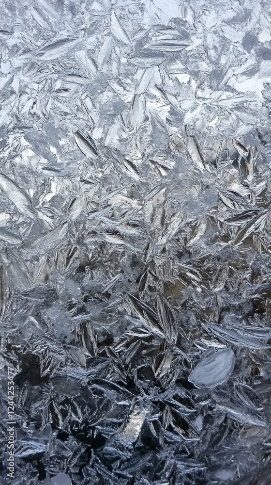 Stunning Ice Patterns: A Detailed Look at Frozen Water Structures