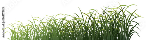 grass Green orchid gradient color basic shape