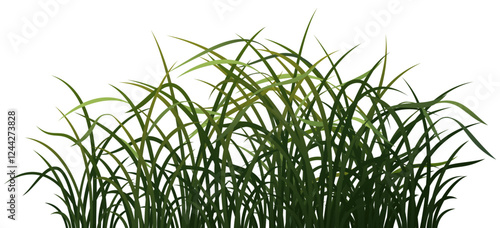 grass Green orchid gradient color basic shape