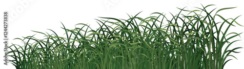 grass solid color Basic shape of green sloping field
