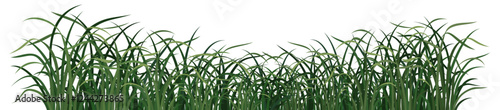 grass solid color green concave field