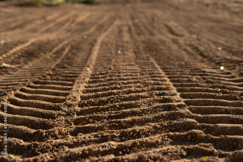 photo Close-up view of freshly made vehicle tire tracks in soft soil, showcasing depth and texture, providing insight into construction or agricultural activities on dirt surfaces. photo Close-up view of freshly made vehicle tire tracks in soft soil, showcasing depth and texture, providing insight into construction or agricultural activities on dirt surfaces.