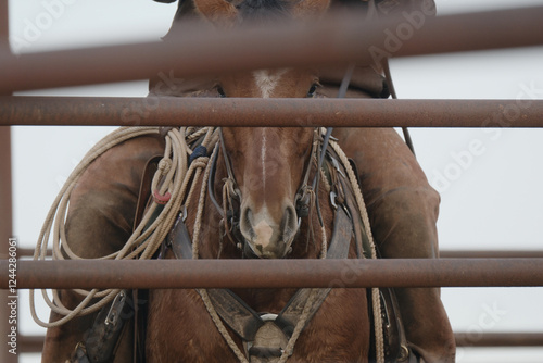 Photography Cowboy on working ranch for western concept with brown quarter horse