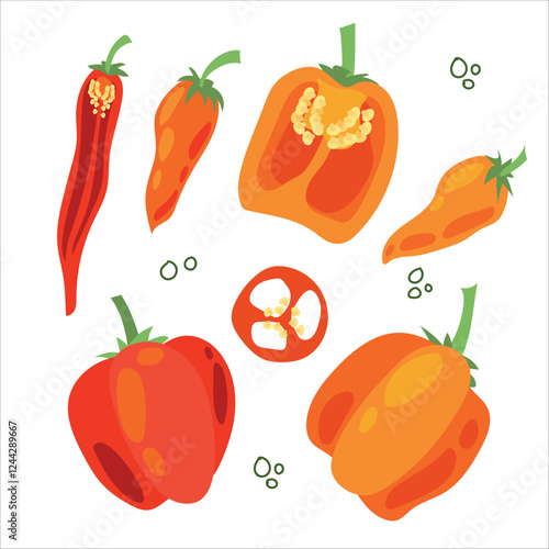Juicy pepper. Paprika. Hot chili pepper. Seasoning. Useful Vegetables. Harvest. Botanical illustration. Vector illustration