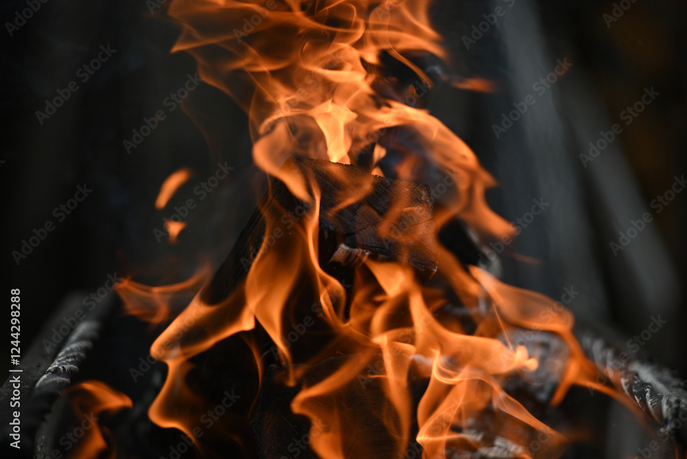 Firewood burns in the fire. Flame on a dark background.. Firewood burns in the fire. Flame on a dark background..
