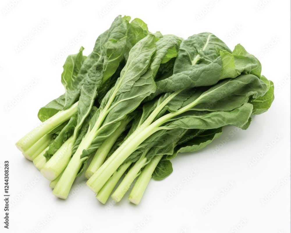 Fresh and Green Chinese Kale in Isolated Background for Healthy Vegetarian Meal Ideas and Agriculture Market Fresh and Green Chinese Kale in Isolated Background for Healthy Vegetarian Meal Ideas and Agriculture Market